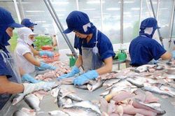 Chịu &aacute;p lực chi ph&iacute;, lợi nhuận qu&yacute; III của Nam Việt giảm 27% d&ugrave; doanh thu tăng