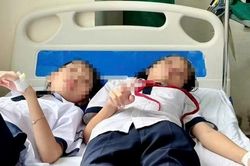 Ném đá vào tổ ong trong sân trường, 27 học sinh ở Quảng Trị phải nhập viện