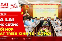 To&agrave;n cảnh Gia Lai 24h: Tăng cường phối hợp ph&aacute;t triển kinh tế - x&atilde; hội