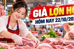 Gi&aacute; lợn hơi h&ocirc;m nay 22/10: Cả nước dao động 47.000 - 52.000 đồng/kg