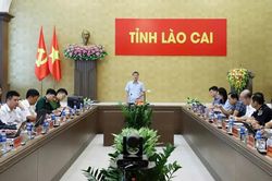 L&agrave;o Cai: Ph&aacute;t hiện, xử l&yacute; 1.916 vụ bu&ocirc;n lậu, gian lận thương mại v&agrave; h&agrave;ng giả trong 9 th&aacute;ng năm 2026