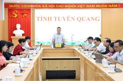Sẵn s&agrave;ng cho Lễ hội hoa Tam gi&aacute;c mạch