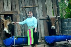 Giảm l&atilde;i suất, khơi th&ocirc;ng d&ograve;ng vốn cho nền kinh tế