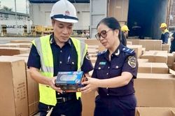 Đồ chơi trẻ em nhập khẩu chậm th&ocirc;ng quan v&igrave; chờ kiểm tra chất lượng