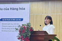 B&aacute;n h&agrave;ng đa k&ecirc;nh, doanh nghiệp Việt mắc kẹt ở đ&acirc;u?