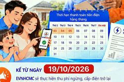 Tổng công ty Điện lực Thành phố Hồ Chí Minh ban hành đơn giá ngừng, cấp điện trở lại