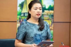 Đại biểu Quốc hội tỉnh góp ý dự án Luật Thực hiện dân chủ ở cơ sở (sửa đổi)