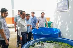 N&acirc;ng cao tr&aacute;ch nhiệm trong c&ocirc;ng t&aacute;c ph&ograve;ng, chống bệnh sốt xuất huyết