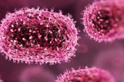 Ph&aacute;p ghi nhận ca nhiễm virus Shamonda g&acirc;y tử vong đầu ti&ecirc;n tr&ecirc;n người