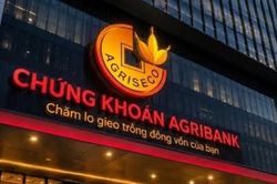 Giá trị giao dịch qua Agriseco gấp 3,9 lần, dư nợ vay ngắn hạn vọt lên 3.721 tỷ đồng