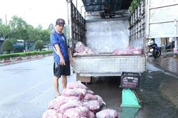Đồng Nai: Triệt ph&aacute; đường d&acirc;y ti&ecirc;u thụ 400 tấn heo bệnh, heo chết