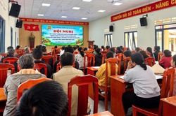Tập huấn n&acirc;ng cao năng lực c&aacute;n bộ cơ sở trong lĩnh vực trồng trọt v&agrave; bảo vệ thực vật