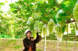 X&acirc;y dựng hệ sinh th&aacute;i hỗ trợ n&ocirc;ng d&acirc;n to&agrave;n diện