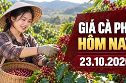 Gi&aacute; c&agrave; ph&ecirc; h&ocirc;m nay 23.10.2026: Robusta v&agrave; Arabica tr&aacute;i chiều