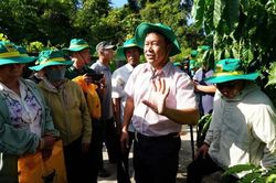 Canh tác cà phê thông minh tại Đắk Hà: Cây khoẻ, giữ quả tốt, giảm phát thải
