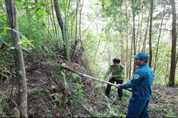 L&agrave;o Cai siết chặt bảo vệ rừng trước m&ugrave;a kh&ocirc; hanh