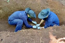 T&igrave;m thấy h&agrave;i cốt liệt sĩ Việt Nam c&ugrave;ng di vật Qu&acirc;n Giải ph&oacute;ng ở L&agrave;o
