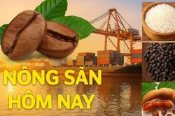 Gi&aacute; n&ocirc;ng sản h&ocirc;m nay 23/10/2026: Gi&aacute; c&agrave; ph&ecirc; đỏ s&agrave;n, xu hướng đảo chiều d&agrave;i hạn bắt đầu? S&agrave;n thương mại điện tử Trung Quốc 'ngấm' thuế mới từ EU