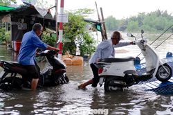 TPHCM sắp đ&oacute;n triều cường vượt b&aacute;o động 3, nhiều nơi c&oacute; thể ngập s&acirc;u