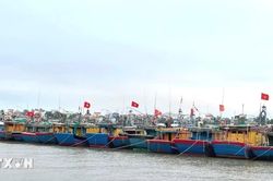 Khắc phục 'thẻ v&agrave;ng' IUU: Quảng Trị siết chặt quản l&yacute; h&agrave;ng trăm t&agrave;u c&aacute;