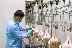 Đổi mới quản lý an toàn thực phẩm theo hướng phân tích nguy cơ