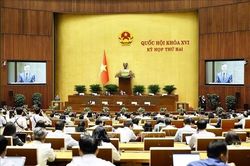 Quốc hội nghe trình bày tờ trình, báo cáo thẩm tra về 5 dự án luật