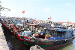 Khắc phục 'thẻ vàng' IUU: Hải Phòng chuẩn hóa 100% dữ liệu tàu cá