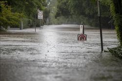 Australia đóng cửa trường học do lũ quét