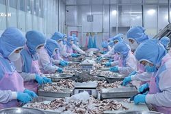 Tăng tốc hoàn thành mục tiêu xuất khẩu nông lâm thủy sản