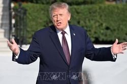 Tổng thống Trump bình luận về triển vọng chấm dứt xung đột Nga - Ukraine