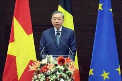 Tổng Bí thư, Chủ tịch nước Tô Lâm phát biểu chính sách tại Viện Quan hệ Quốc tế Hoàng gia Egmont