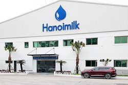 Doanh thu tăng hai chữ số, lợi nhuận 9 tháng của Hanoimilk gần như giậm chân tại chỗ