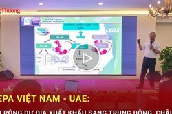 CEPA Việt Nam - UAE: Mở rộng dư địa xuất khẩu sang Trung Đ&ocirc;ng, ch&acirc;u Phi