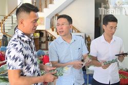 Th&uacute;c đẩy &ldquo;t&aacute;i chứng nhận&rdquo; sản phẩm OCOP