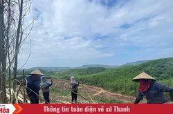 Gieo sinh kế giữa đại ngàn