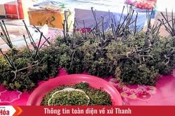 Độc đ&aacute;o sản vật chợ Sầm Nưa