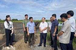 An Minh mới giải ng&acirc;n 25,57% vốn đầu tư c&ocirc;ng