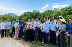 Nâng cao năng lực quản lý mã số vùng trồng, mã số cơ sở đóng gói cho cán bộ khuyến nông