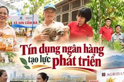 T&iacute;n dụng ng&acirc;n h&agrave;ng tạo lực ph&aacute;t triển