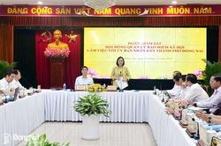 Đồng Nai cần tăng cường hơn nữa bảo vệ quyền lợi người lao động qua ch&iacute;nh s&aacute;ch an sinh