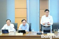 Đại biểu Quốc hội tỉnh Đồng Tháp thảo luận nhiều nội dung về xây dựng luật pháp