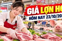 Gi&aacute; lợn hơi h&ocirc;m nay 23/10/2026: Thấp nhất 46.000 đồng/kg