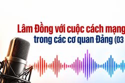 L&acirc;m Đồng với cuộc c&aacute;ch mạng số trong c&aacute;c cơ quan Đảng (03 kỳ)