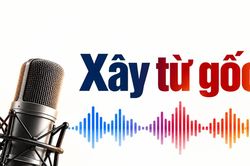 X&acirc;y từ gốc