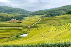 Lễ hội Ruộng bậc thang Miền Đồi năm 2026 sẽ diễn ra trong 2 ng&agrave;y 24 - 25/10