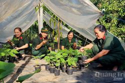 Những cựu chiến binh 'giỏi việc nước, đảm việc nh&agrave;'