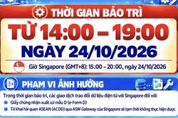 Ngày 24/10: Hải quan cảnh báo gián đoạn 5 giờ giao dịch e-Form D, ACDD với Singapore