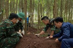 Quy tập 20 h&agrave;i cốt liệt sĩ tại khu vực rừng tr&agrave;m Quảng Trị