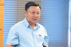 Ho&agrave;n thiện quy định trưng dụng t&agrave;i sản, bảo đảm t&iacute;nh thống nhất của hệ thống ph&aacute;p luật
