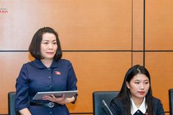 C&ocirc;ng khai danh mục văn bản &aacute;p dụng sau s&aacute;p nhập đơn vị h&agrave;nh ch&iacute;nh